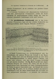 Vergleichende Lokalisationslehre der Grosshirnrinde in ihren Prinzipien dargestellt auf Grund des Zellenbaues.pdf
