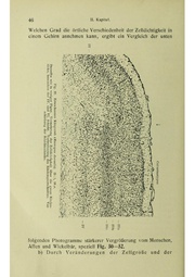 Vergleichende Lokalisationslehre der Grosshirnrinde in ihren Prinzipien dargestellt auf Grund des Zellenbaues.pdf