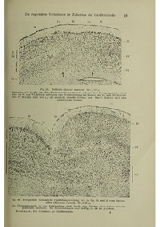 Vergleichende Lokalisationslehre der Grosshirnrinde in ihren Prinzipien dargestellt auf Grund des Zellenbaues.pdf
