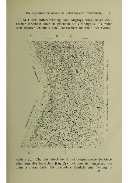 Vergleichende Lokalisationslehre der Grosshirnrinde in ihren Prinzipien dargestellt auf Grund des Zellenbaues.pdf