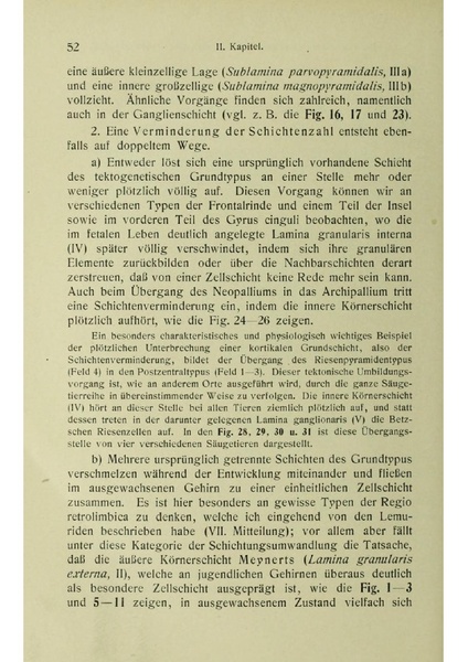 Vergleichende Lokalisationslehre der Grosshirnrinde in ihren Prinzipien dargestellt auf Grund des Zellenbaues.pdf