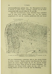 Vergleichende Lokalisationslehre der Grosshirnrinde in ihren Prinzipien dargestellt auf Grund des Zellenbaues.pdf