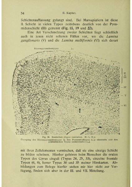 Vergleichende Lokalisationslehre der Grosshirnrinde in ihren Prinzipien dargestellt auf Grund des Zellenbaues.pdf
