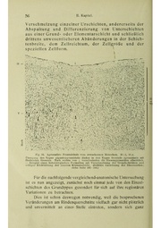 Vergleichende Lokalisationslehre der Grosshirnrinde in ihren Prinzipien dargestellt auf Grund des Zellenbaues.pdf