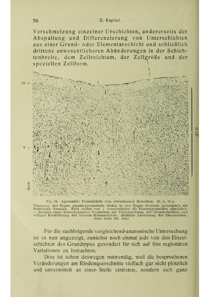 Vergleichende Lokalisationslehre der Grosshirnrinde in ihren Prinzipien dargestellt auf Grund des Zellenbaues.pdf