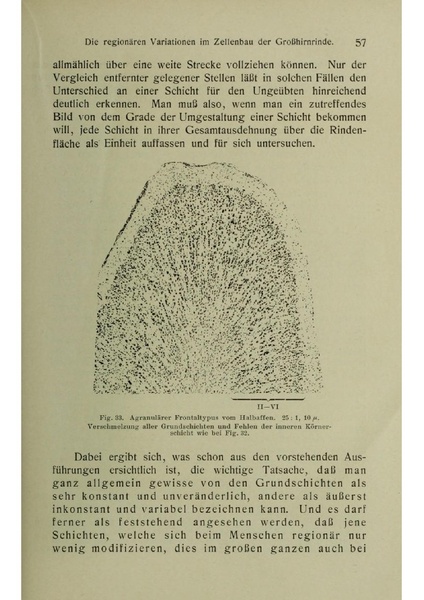 Vergleichende Lokalisationslehre der Grosshirnrinde in ihren Prinzipien dargestellt auf Grund des Zellenbaues.pdf