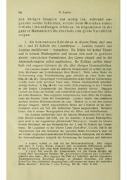 Vergleichende Lokalisationslehre der Grosshirnrinde in ihren Prinzipien dargestellt auf Grund des Zellenbaues.pdf