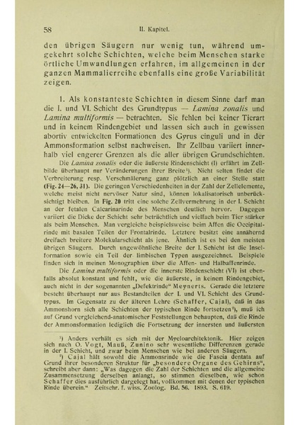 Vergleichende Lokalisationslehre der Grosshirnrinde in ihren Prinzipien dargestellt auf Grund des Zellenbaues.pdf
