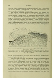 Vergleichende Lokalisationslehre der Grosshirnrinde in ihren Prinzipien dargestellt auf Grund des Zellenbaues.pdf
