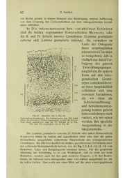 Vergleichende Lokalisationslehre der Grosshirnrinde in ihren Prinzipien dargestellt auf Grund des Zellenbaues.pdf