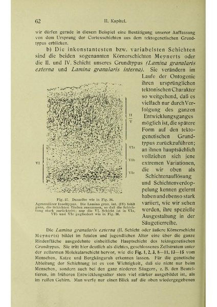 Vergleichende Lokalisationslehre der Grosshirnrinde in ihren Prinzipien dargestellt auf Grund des Zellenbaues.pdf