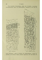 Vergleichende Lokalisationslehre der Grosshirnrinde in ihren Prinzipien dargestellt auf Grund des Zellenbaues.pdf