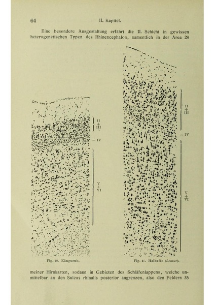 Vergleichende Lokalisationslehre der Grosshirnrinde in ihren Prinzipien dargestellt auf Grund des Zellenbaues.pdf
