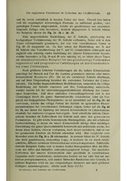 Vergleichende Lokalisationslehre der Grosshirnrinde in ihren Prinzipien dargestellt auf Grund des Zellenbaues.pdf