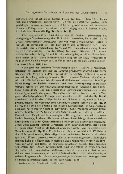 Vergleichende Lokalisationslehre der Grosshirnrinde in ihren Prinzipien dargestellt auf Grund des Zellenbaues.pdf