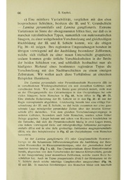 Vergleichende Lokalisationslehre der Grosshirnrinde in ihren Prinzipien dargestellt auf Grund des Zellenbaues.pdf