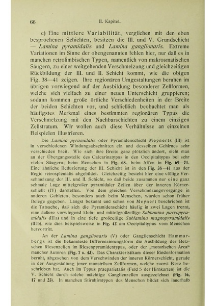 Vergleichende Lokalisationslehre der Grosshirnrinde in ihren Prinzipien dargestellt auf Grund des Zellenbaues.pdf