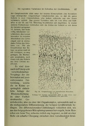 Vergleichende Lokalisationslehre der Grosshirnrinde in ihren Prinzipien dargestellt auf Grund des Zellenbaues.pdf