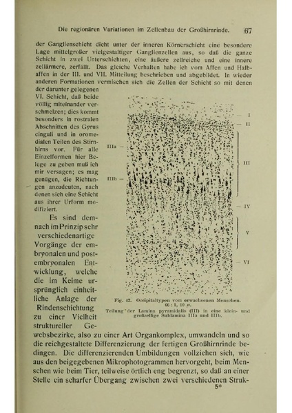 Vergleichende Lokalisationslehre der Grosshirnrinde in ihren Prinzipien dargestellt auf Grund des Zellenbaues.pdf