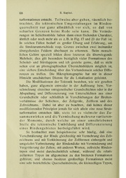 Vergleichende Lokalisationslehre der Grosshirnrinde in ihren Prinzipien dargestellt auf Grund des Zellenbaues.pdf