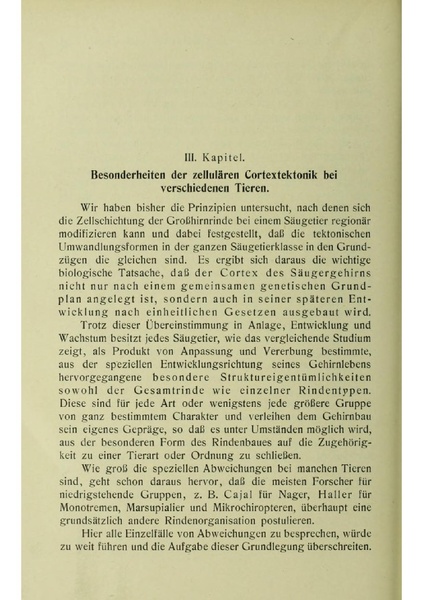 Vergleichende Lokalisationslehre der Grosshirnrinde in ihren Prinzipien dargestellt auf Grund des Zellenbaues.pdf