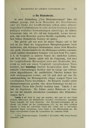 Vergleichende Lokalisationslehre der Grosshirnrinde in ihren Prinzipien dargestellt auf Grund des Zellenbaues.pdf