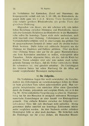 Vergleichende Lokalisationslehre der Grosshirnrinde in ihren Prinzipien dargestellt auf Grund des Zellenbaues.pdf