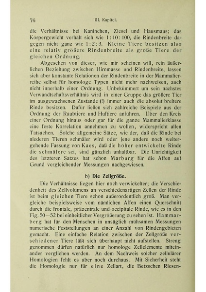 Vergleichende Lokalisationslehre der Grosshirnrinde in ihren Prinzipien dargestellt auf Grund des Zellenbaues.pdf