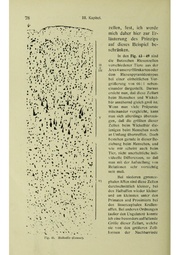 Vergleichende Lokalisationslehre der Grosshirnrinde in ihren Prinzipien dargestellt auf Grund des Zellenbaues.pdf