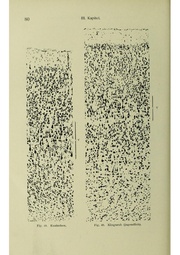 Vergleichende Lokalisationslehre der Grosshirnrinde in ihren Prinzipien dargestellt auf Grund des Zellenbaues.pdf