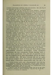 Vergleichende Lokalisationslehre der Grosshirnrinde in ihren Prinzipien dargestellt auf Grund des Zellenbaues.pdf