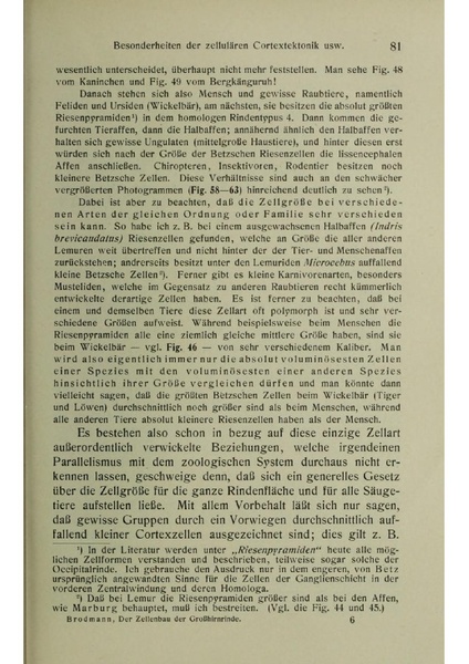 Vergleichende Lokalisationslehre der Grosshirnrinde in ihren Prinzipien dargestellt auf Grund des Zellenbaues.pdf
