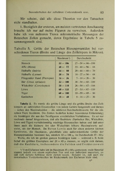 Vergleichende Lokalisationslehre der Grosshirnrinde in ihren Prinzipien dargestellt auf Grund des Zellenbaues.pdf