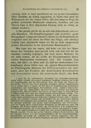 Vergleichende Lokalisationslehre der Grosshirnrinde in ihren Prinzipien dargestellt auf Grund des Zellenbaues.pdf