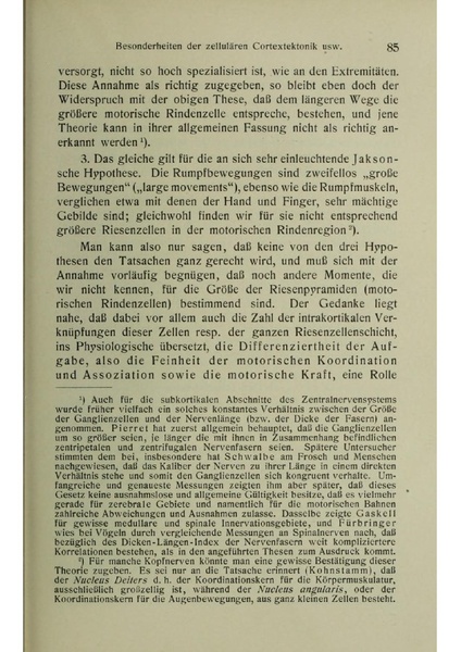 Vergleichende Lokalisationslehre der Grosshirnrinde in ihren Prinzipien dargestellt auf Grund des Zellenbaues.pdf