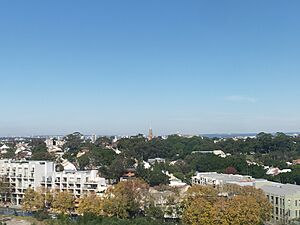 View of the Camperdown and Newtown local area