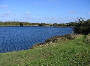 Water-filled disused brick pit, Eye Green, Peterborough - geograph.org.uk - 62746
