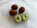 Ziziphus zizyphus fruit inside