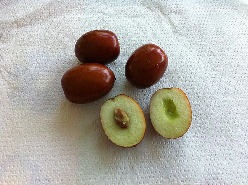 Ziziphus zizyphus fruit inside