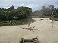 Zoološki vrt u Aucklandu, Novi Zeland