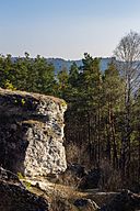 Дівочі скелі, Кременецькі гори.jpg