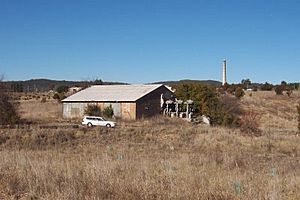 1738 - Raffan's Mill and Brick Bottle Kilns Precinct - Remains of 19th century Raffan's Mill (5056468b3).jpg