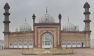 Aligarh Muslim University Masjid