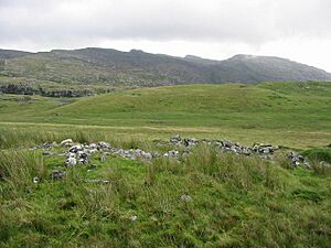 Ancient Cairn - geograph.org.uk - 500437