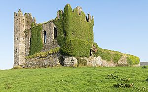 Ballycarbery Castle-IMG 5554