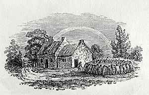 Bewick cockfight