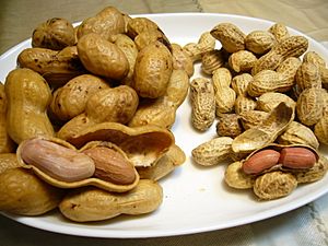 Boiled big peanuts & normal peanuts, Katori City, Japan