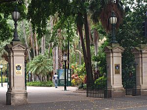 Brisbane City Botanic Gardens (01).jpg