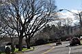 BrooklineMA WestRoxburyParkwayRotary
