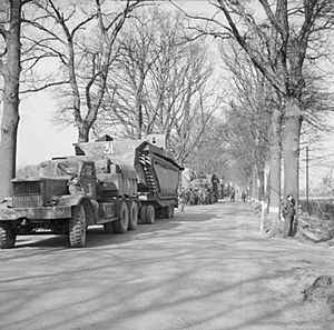 Buffaloes being transported forward in preparation for crossing the Rhine